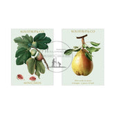 kaartenmapje mini KC Peer/Vijg