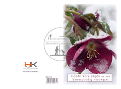 Pakje dubbel kerstkaarten GK348