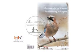 pakje dubbele gedrukt kerstkaarten GZ311