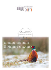 Dubbele kerstkaarten GZ346