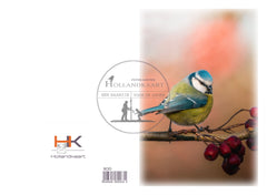 Dubbele wenskaart N30