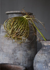 CONCEPT 3 ANSICHTEN STOER WONEN Alleen voor winkeliers met afgesproken prijzen