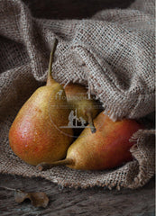 CONCEPT 3 ANSICHTEN STOER WONEN Alleen voor winkeliers met afgesproken prijzen