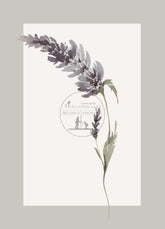 prentbriefkaart AC14