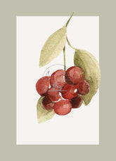 prentbriefkaart AC18