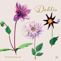 Kaartenset Dahlia