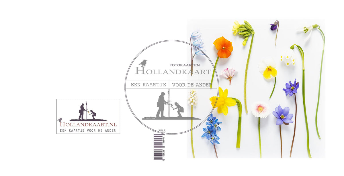 Wenskaart blanco voorjaarsbloeiers 2V43