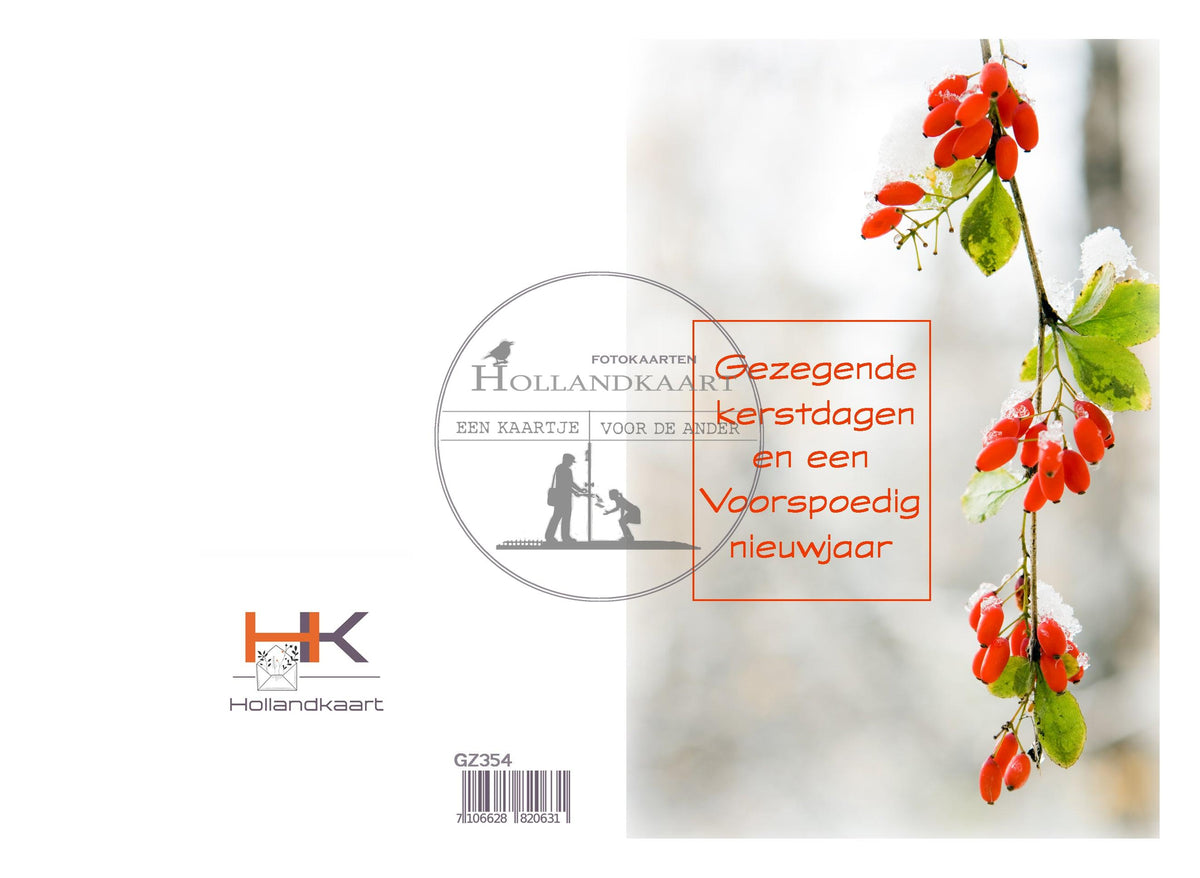 Pakje dubbele kerstkaarten GZ354