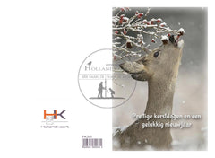 Pakje dubbele kerstkaarten PK310