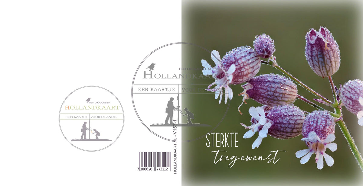 Vierkante kaart V153-1