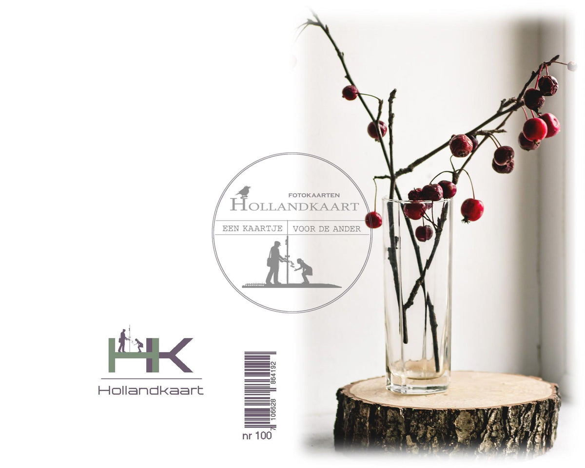 Nr100BL winterkaartjes pakje 4 stuks