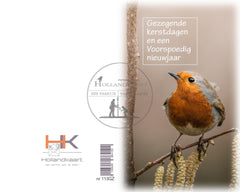 Nr113GZ kerstkaartjes