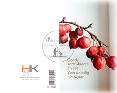 Nr117 GK kerstkaartjes