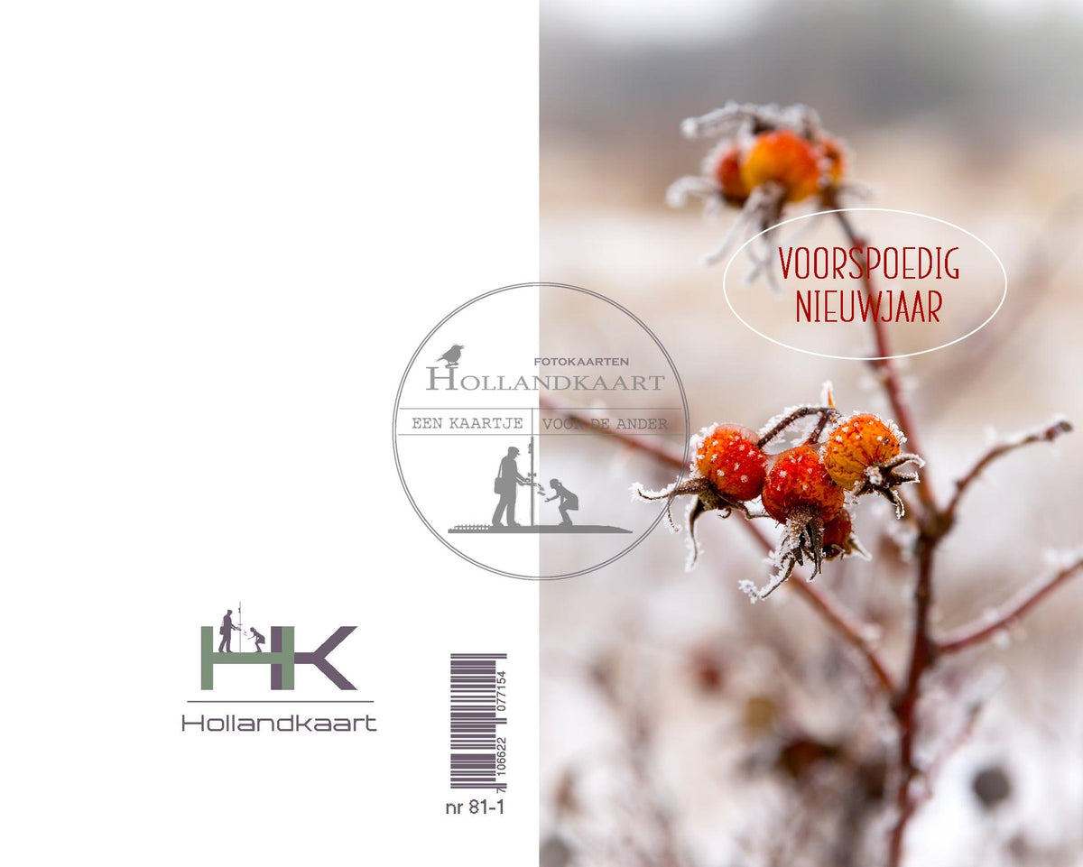 Nr81a nieuwjaarskaartjes pakje 4 stuks