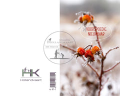 Nr81a nieuwjaarskaartjes pakje 4 stuks