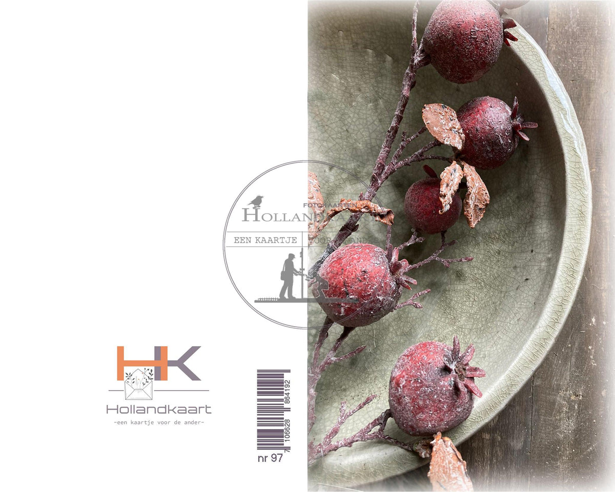 Nr 97BL Winterkaartjes