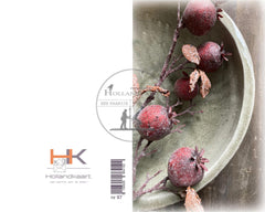 Nr 97BL Winterkaartjes