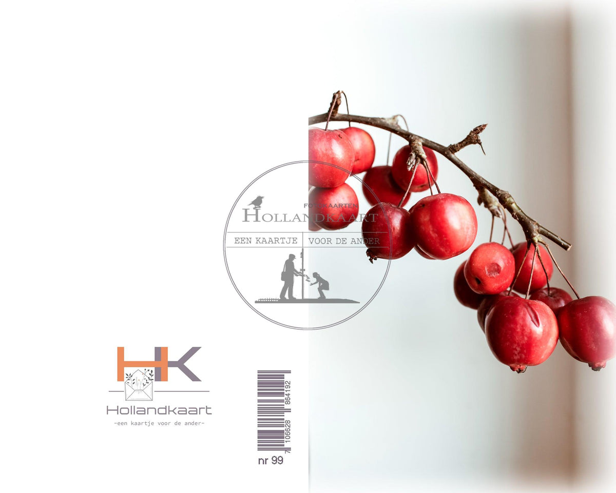 Nr99 BL winterkaartjes