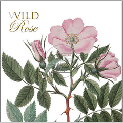 Kaartenset wild rose