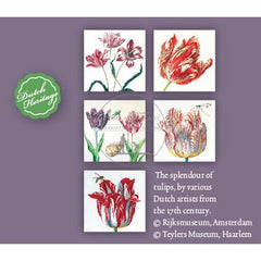 kaartenmapjes  Tulip Splendour