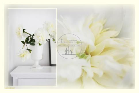 wenskaart / fotokaart witte bloem