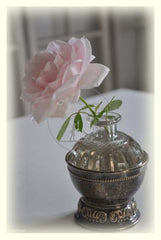 fotokaart/wenskaart roze roos