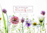 Eierdoosje met zaadkogels nr134